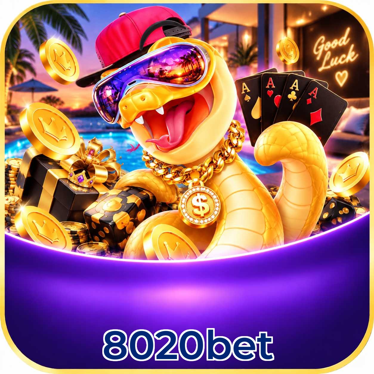 8020bet Download Speed