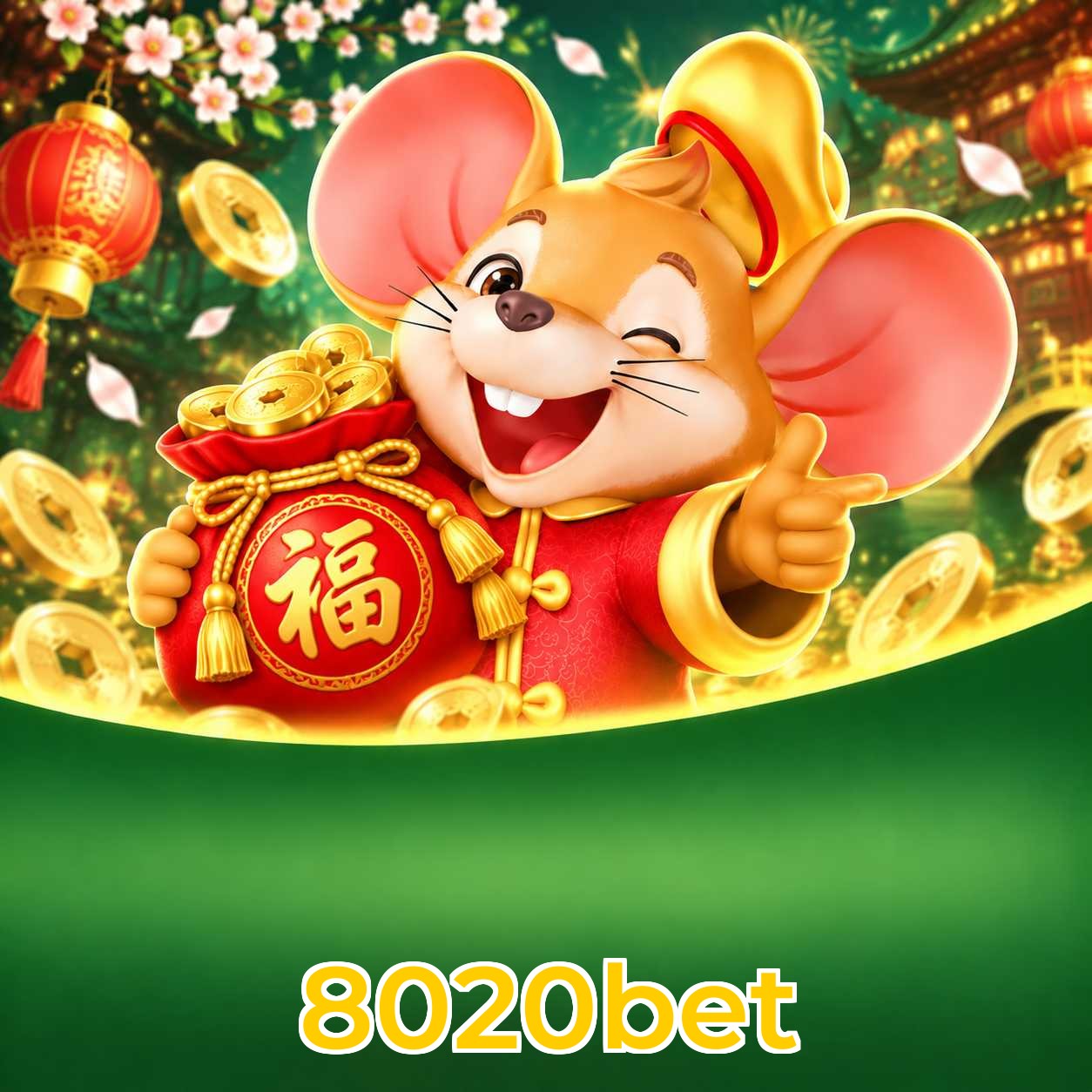 8020bet Streaming Quality