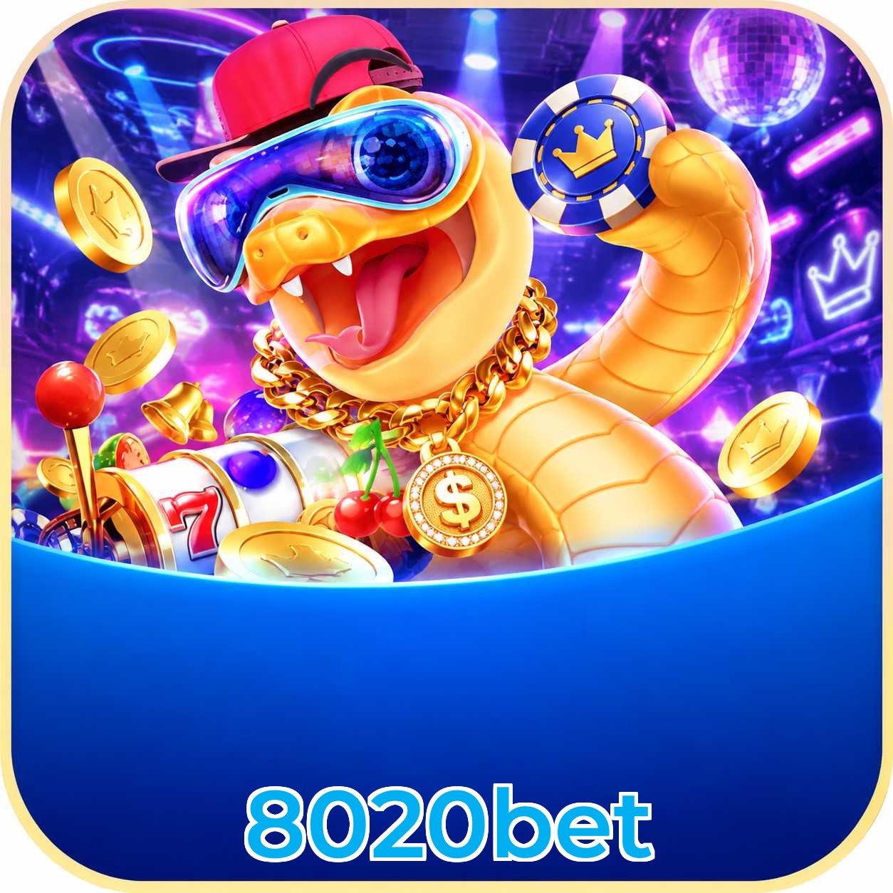 8020bet Compatibilidade