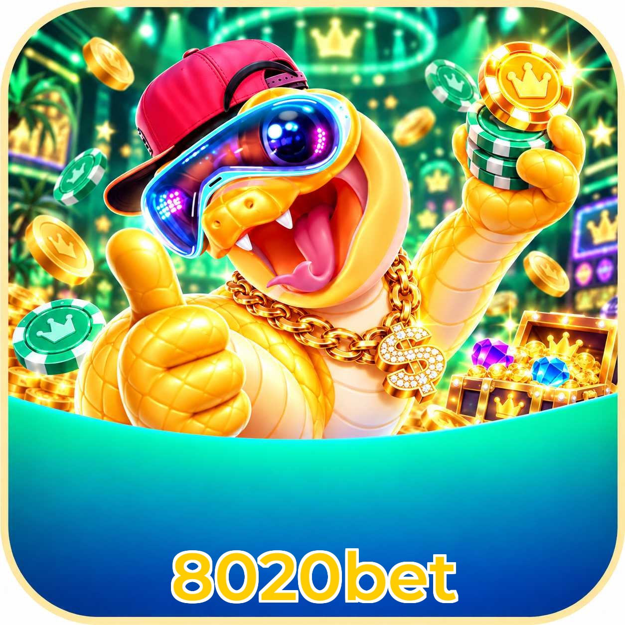 8020bet App vs Web